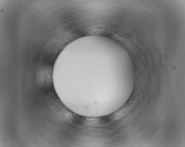 X0000088580240200706081131