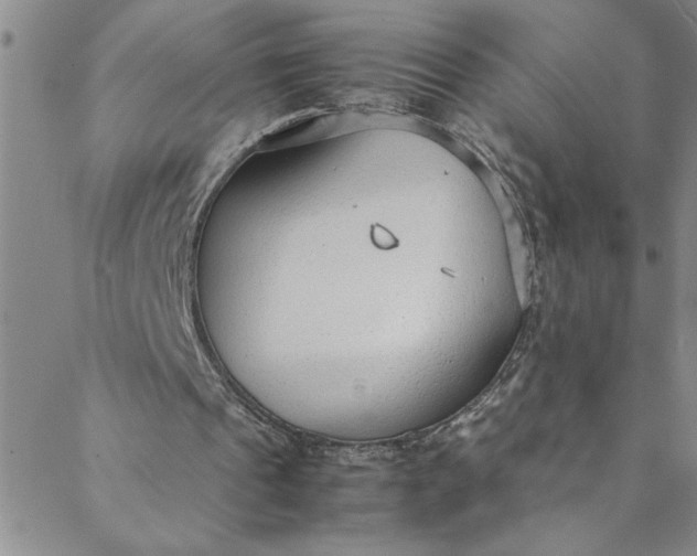 X0000088580241200706081130