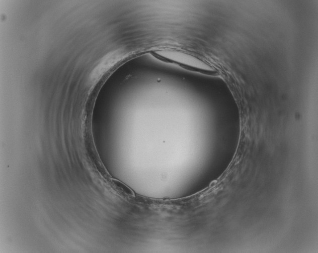 X0000088580242200706081130