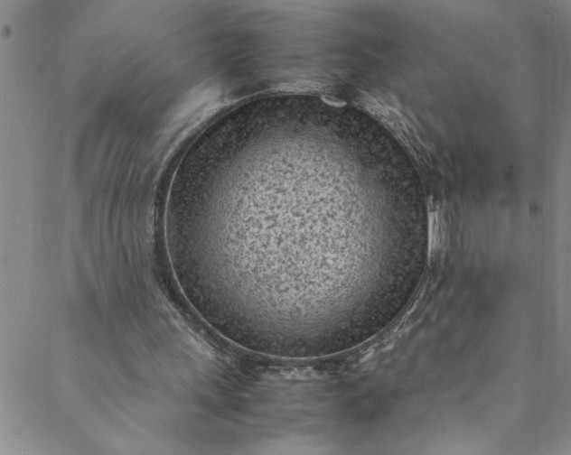 X0000088580243200706081130