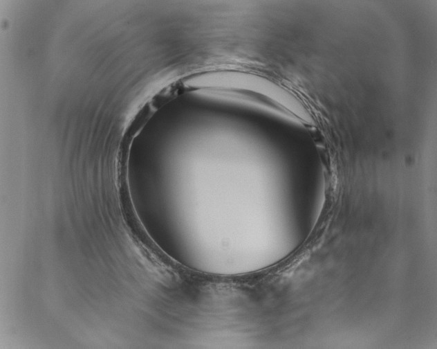 X0000088580244200706081130