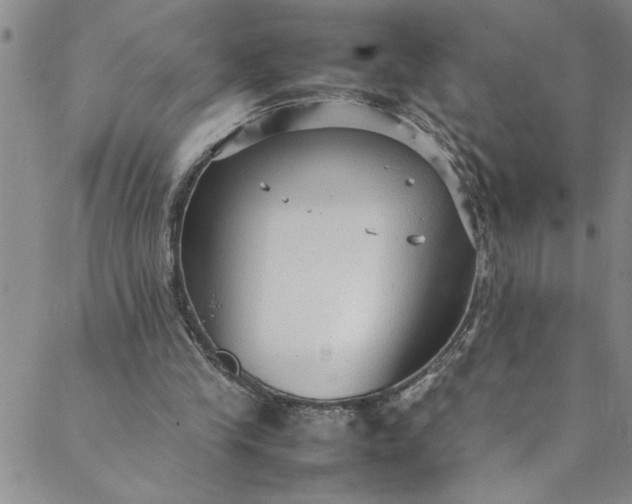 X0000088580245200706081130