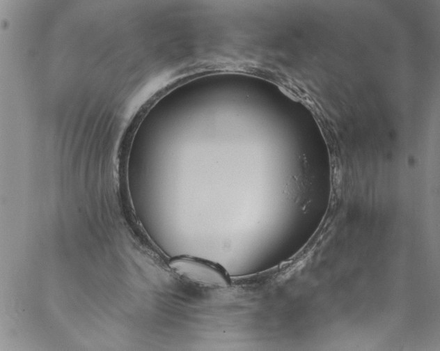 X0000088580246200706081130