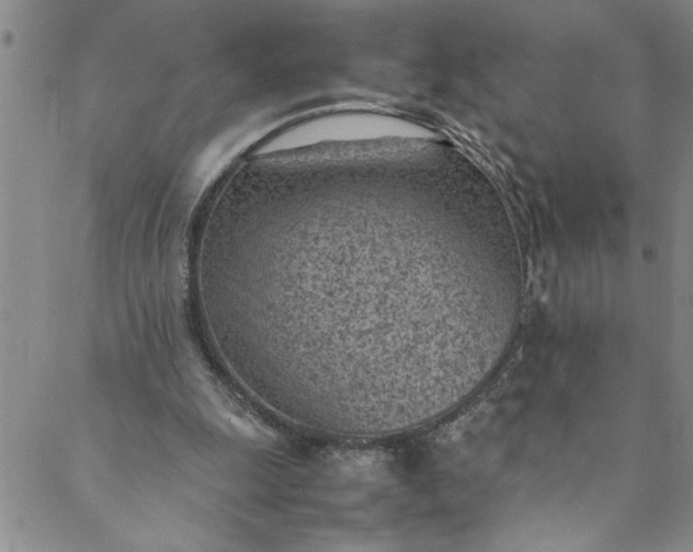 X0000088580247200706081130