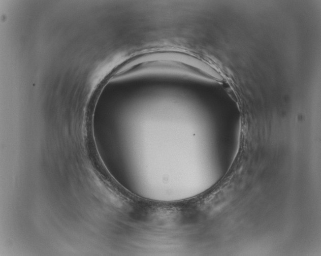 X0000088580248200706081130