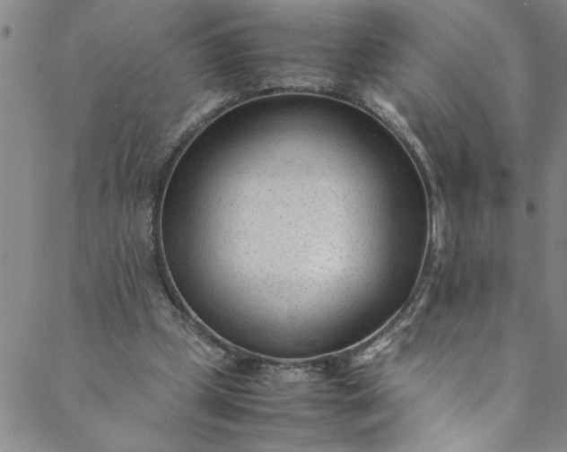 X0000088580249200706081130