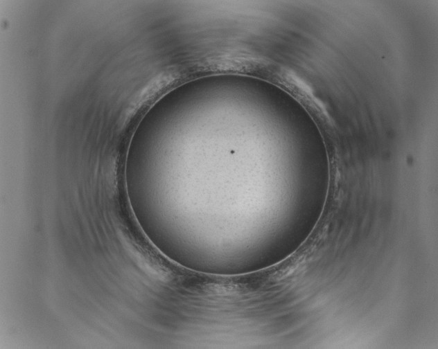 X0000088580250200706081130