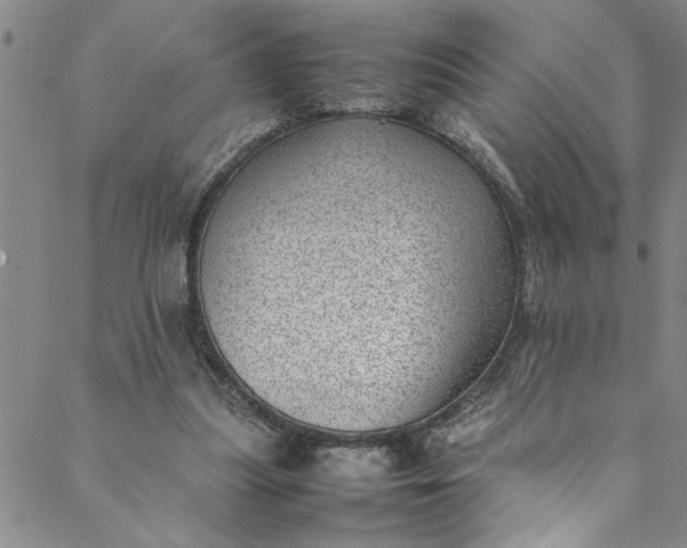 X0000088580251200706081130