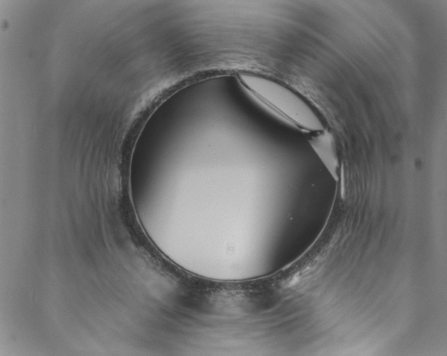 X0000088580252200706081130