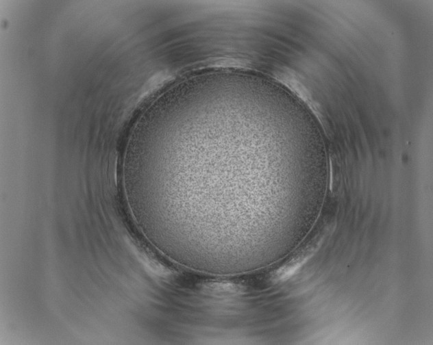 X0000088580253200706081130