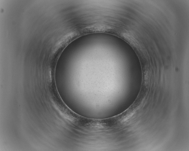 X0000088580254200706081130