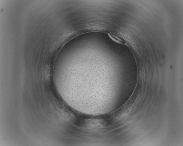 X0000088580255200706081130