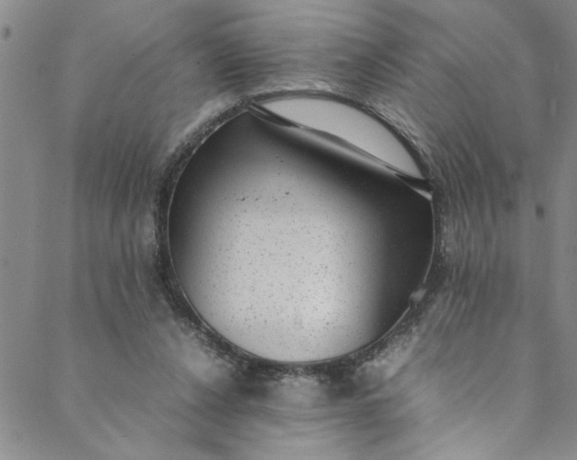 X0000088580256200706081130