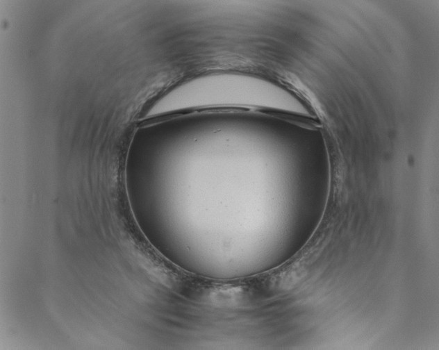 X0000088580257200706081130