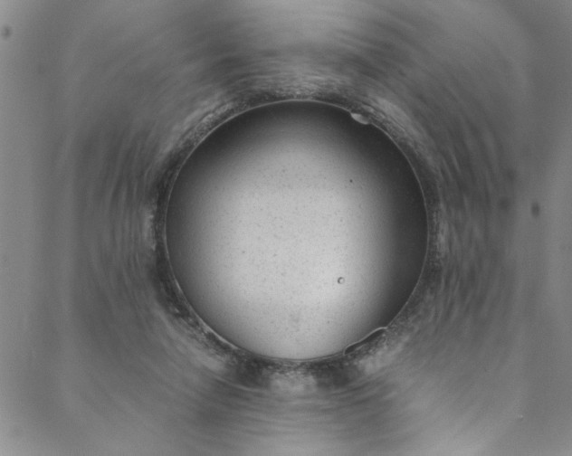 X0000088580258200706081130