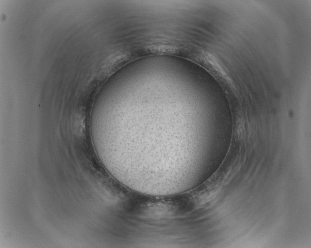 X0000088580259200706081130