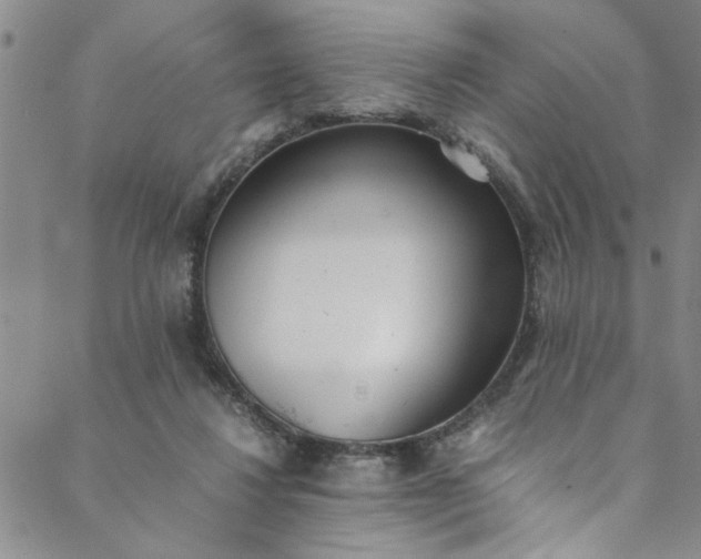 X0000088580260200706081130