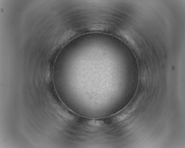 X0000088580261200706081130