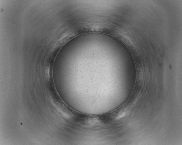 X0000088580262200706081130