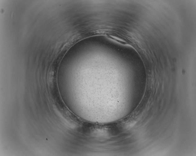 X0000088580263200706081130