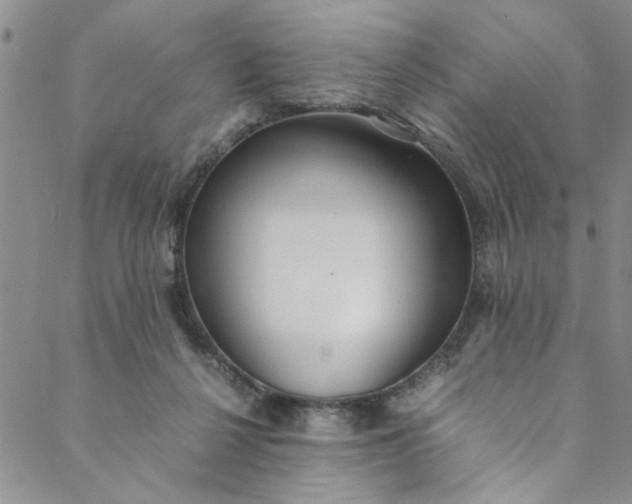 X0000088580264200706081130