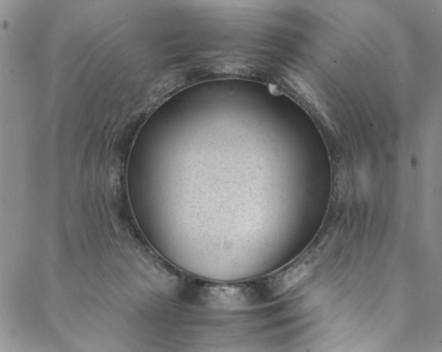 X0000088580265200706081130