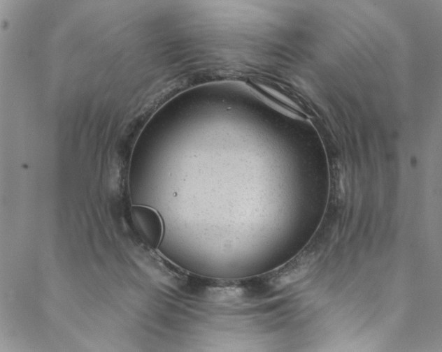 X0000088580266200706081130