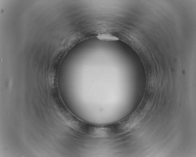 X0000088580268200706081130