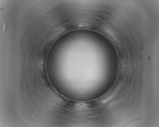 X0000088580269200706081130