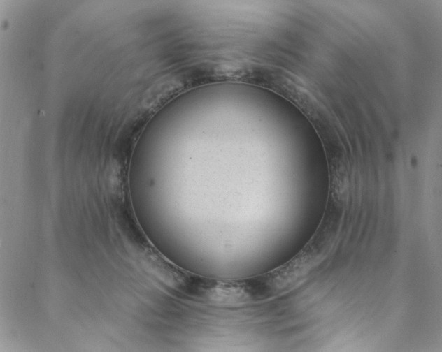 X0000088580270200706081130