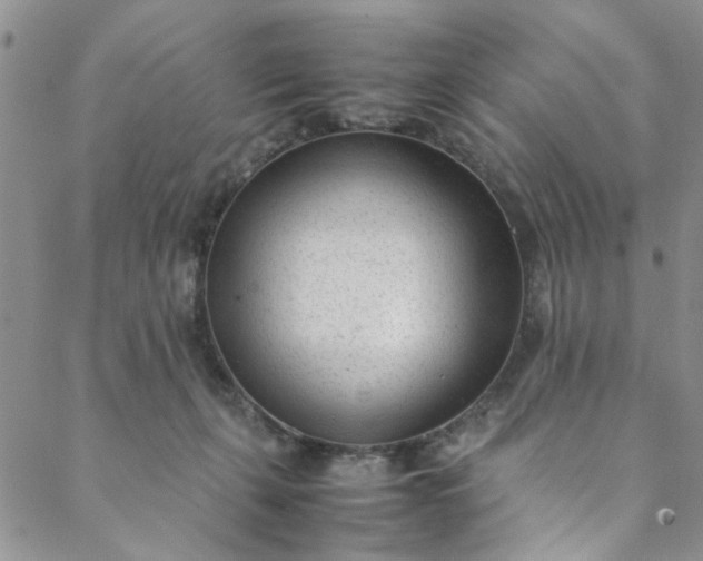 X0000088580271200706081130