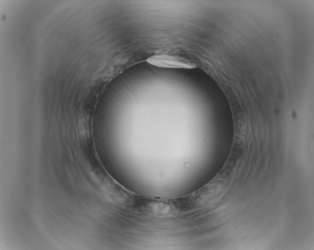 X0000088580272200706081130