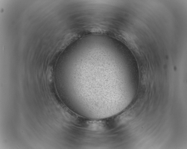 X0000088580273200706081130