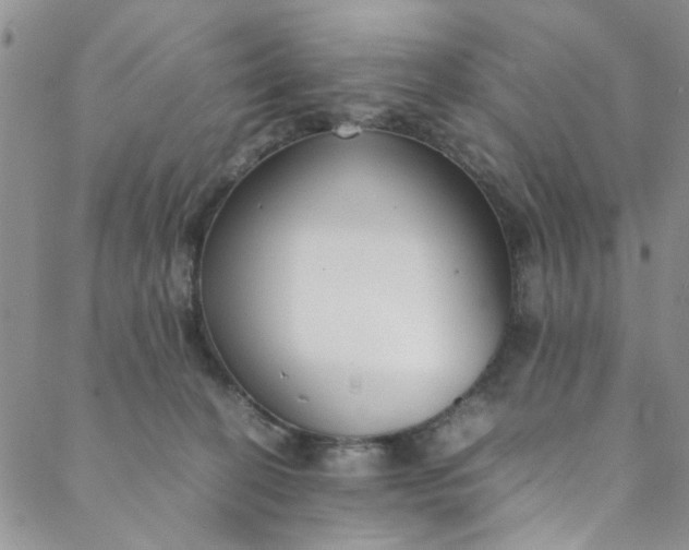 X0000088580274200706081130