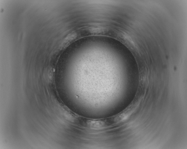 X0000088580277200706081130