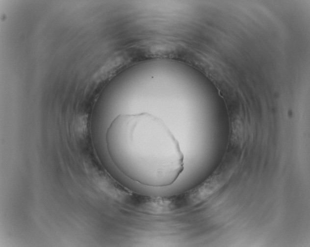 X0000088580278200706081130