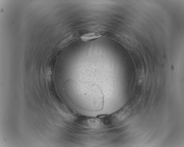 X0000088580279200706081130