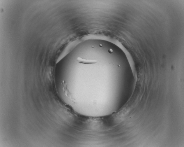 X0000088580280200706081130