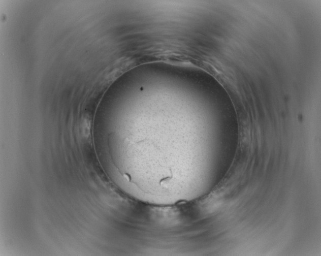 X0000088580281200706081130