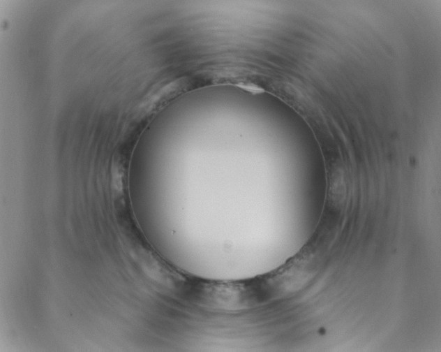 X0000088580282200706081130