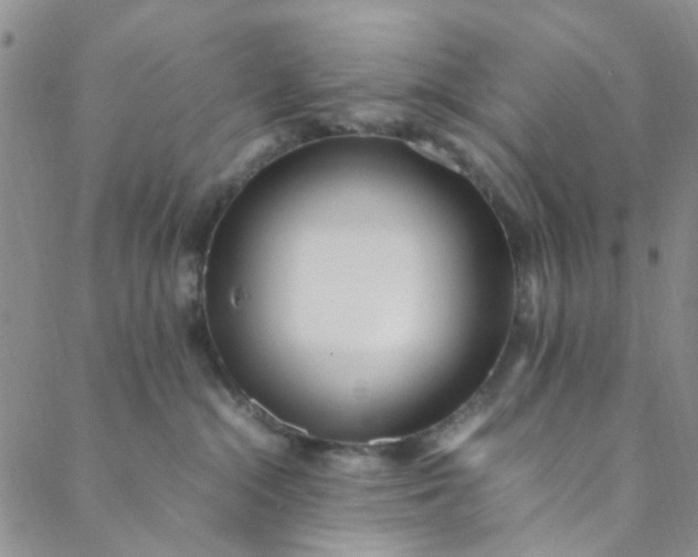 X0000088580284200706081130