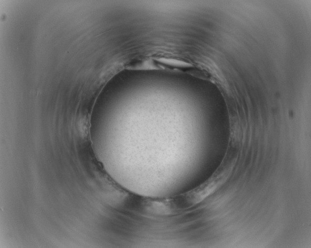 X0000088580285200706081130