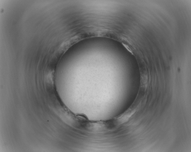 X0000088580286200706081130