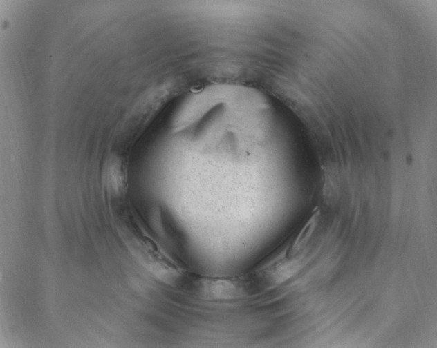 X0000088580287200706081130