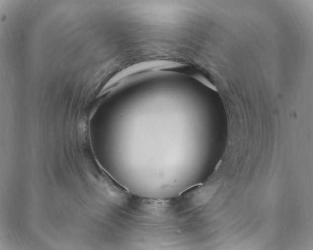 X0000088580288200706081131