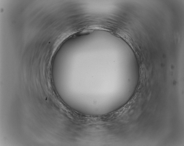 X0000088580289200706081130