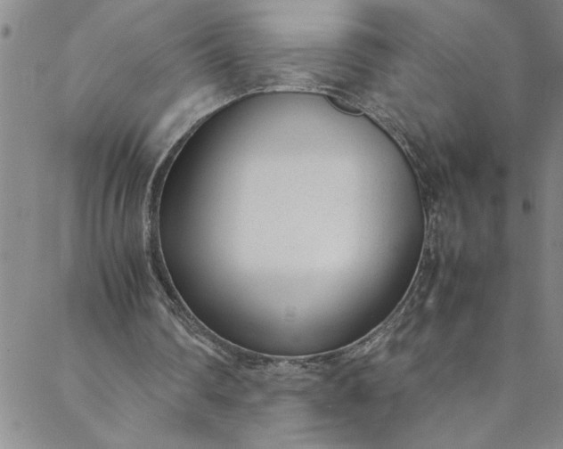 X0000088580290200706081130