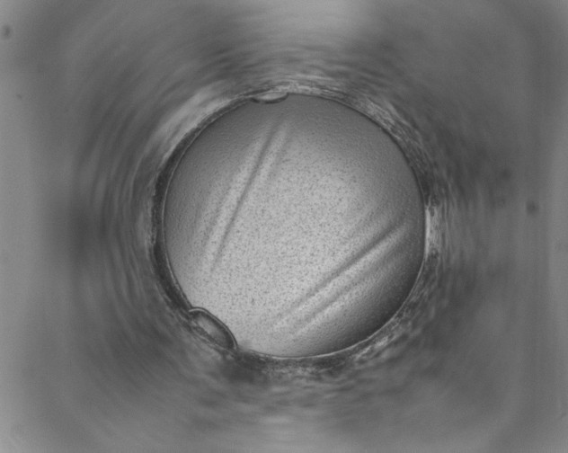 X0000088580291200706081130