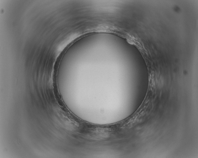 X0000088580292200706081130