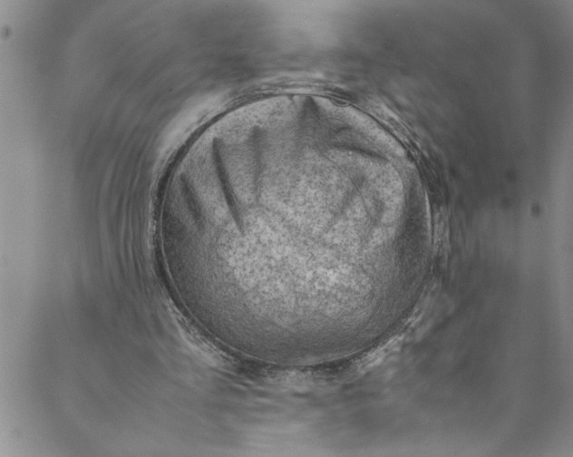 X0000088580293200706081130